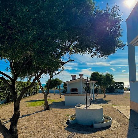 Edo House Anzio - Beachfront - Fronte Mare - Affittacamere المظهر الخارجي الصورة